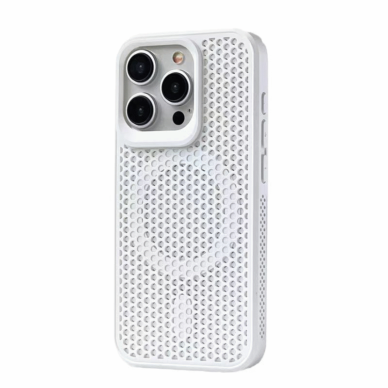 Philips Case